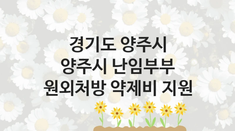 경기도 양주시
양주시 난임부부 원외처방 약제비 지원