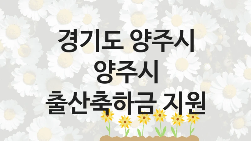 “양주시 출산축하금 지원” 복지 혜택 자격 심사 및 접수 일정 – 경기도 양주시 지원 정책