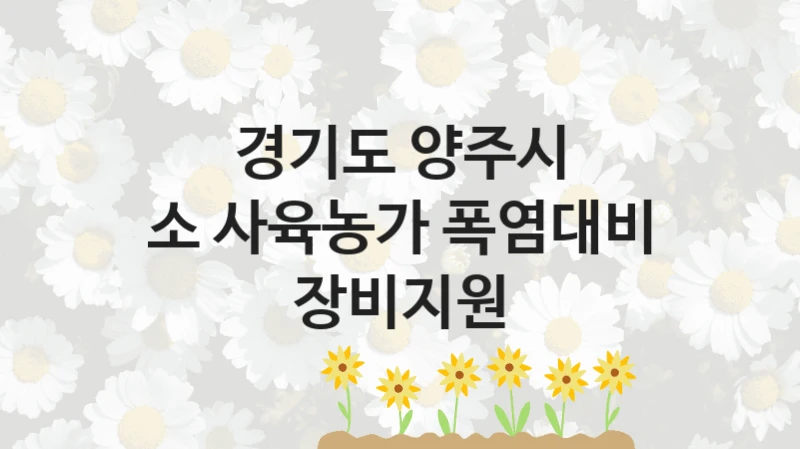 경기도 양주시
소 사육농가 폭염대비 장비지원