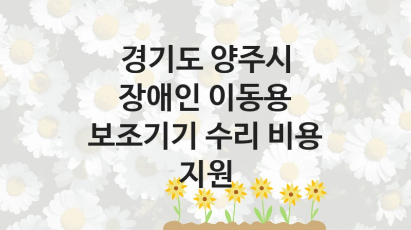 경기도 양주시
장애인 이동용 보조기기 수리 비용 지원