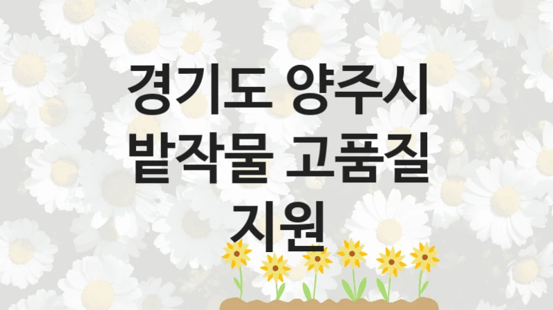 경기도 양주시
밭작물 고품질 지원