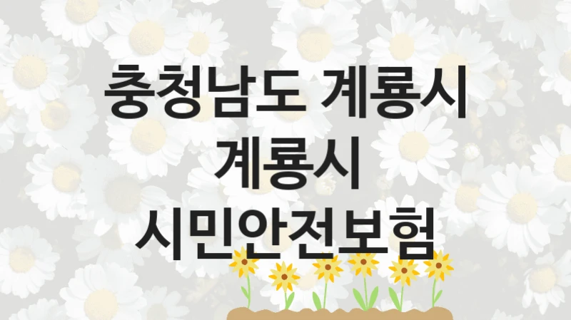 충청남도 계룡시
계룡시 시민안전보험