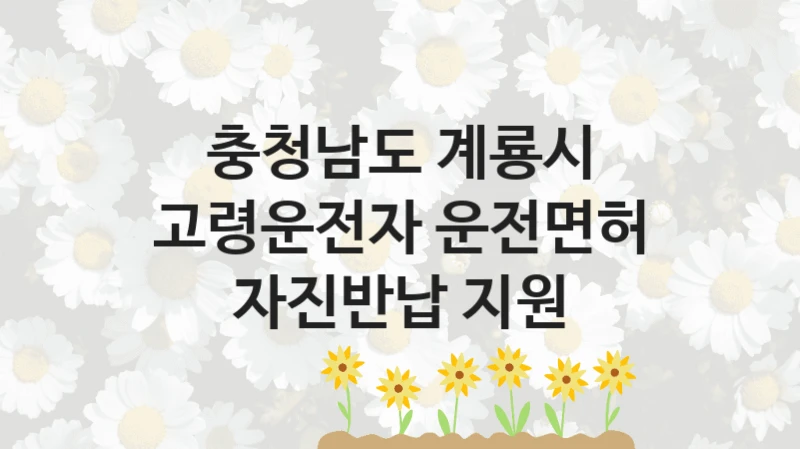 충청남도 계룡시
고령운전자 운전면허 자진반납 지원