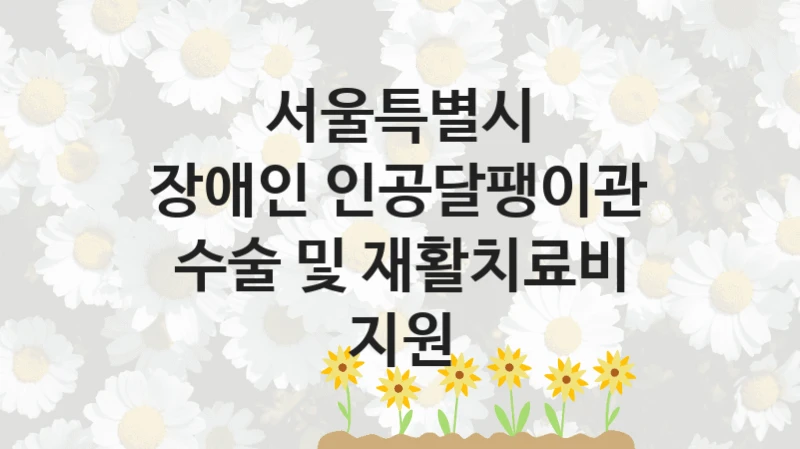 정부 지원 제도 “장애인 인공달팽이관 수술 및 재활치료비 지원” 신청 절차와 준비물 – 서울특별시
