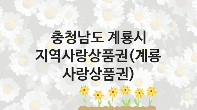 충청남도 계룡시
지역사랑상품권(계룡사랑상품권)