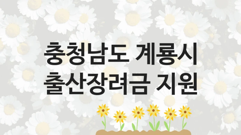 충청남도 계룡시 “출산장려금 지원” 복지 지원 정책 – 자격 요건과 접수 방법