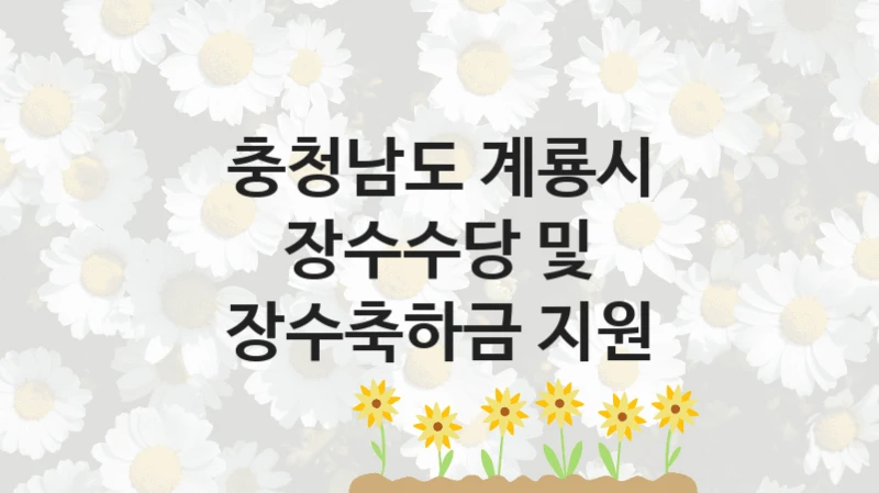 충청남도 계룡시
장수수당 및 장수축하금 지원