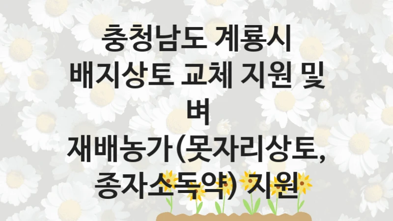 충청남도 계룡시 “배지상토 교체 지원 및 벼 재배농가(못자리상토, 종자소독약) 지원” 복지 지원혜택 – 자격 조건과 구비 서류