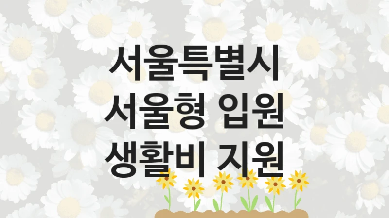 “서울형 입원 생활비 지원” 혜택 대상자 조건 – 서울특별시 복지정책 요건 및 혜택 안내