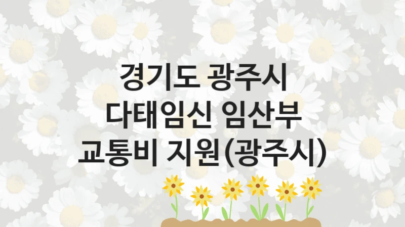 경기도 광주시
다태임신 임산부 교통비 지원(광주시)