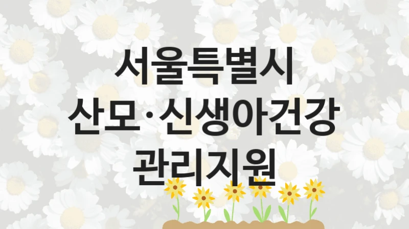서울특별시
산모·신생아건강관리지원
