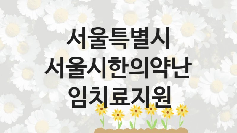 서울특별시 복지 정책 안내 “서울시한의약난임치료지원” – 신청 요건과 제출 서류