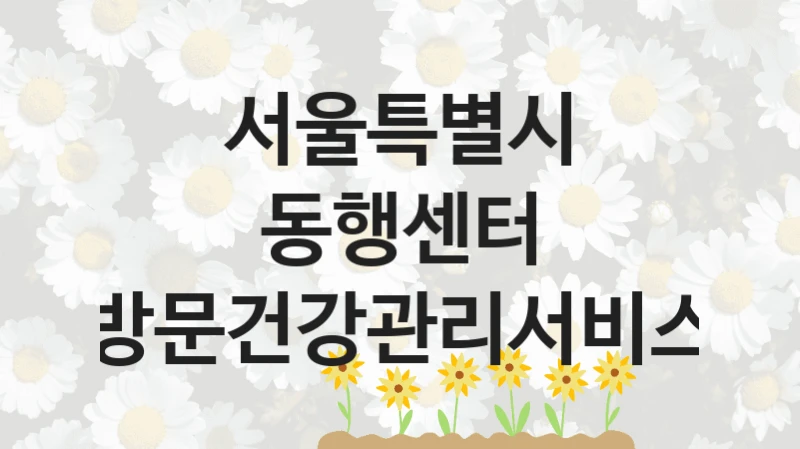 정부 지원 제도 “동행센터 방문건강관리서비스” 신청 대상 및 자격 조건 – 서울특별시
