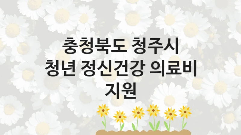 충청북도 청주시 사회 복지 혜택 “청년 정신건강 의료비 지원” – 신청 기준과 서류 준비