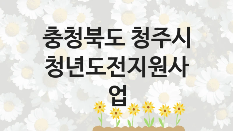충청북도 청주시 “청년도전지원사업” 지원사업 자격 조건과 신청 일정