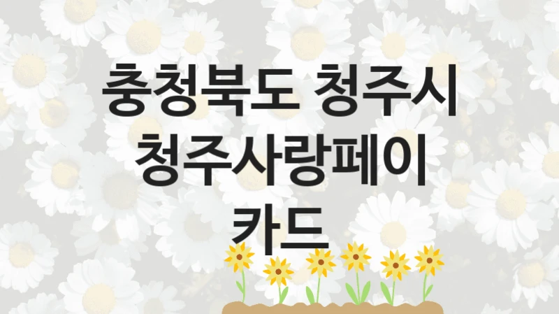 충청북도 청주시 사회 복지 혜택 “청주사랑페이 카드” – 접수 방법 및 지원 한도
