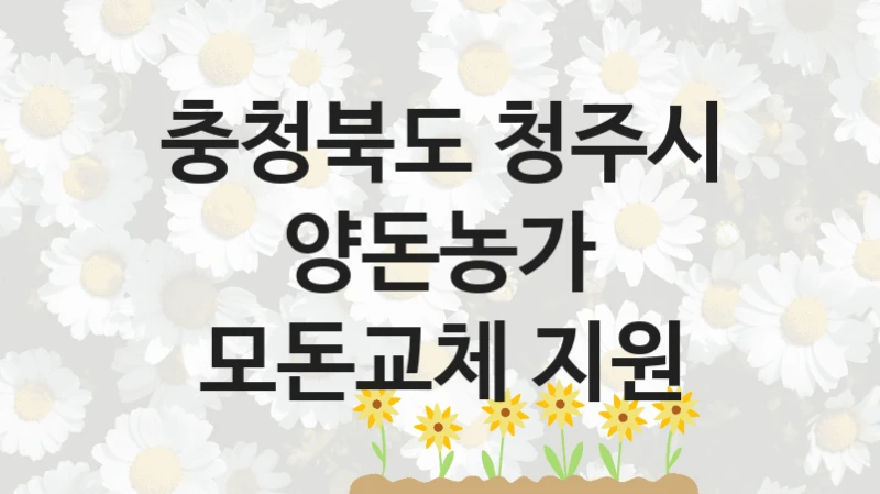 정부 복지 서비스 “양돈농가 모돈교체 지원” – 충청북도 청주시 신청 대상 및 제출 서류