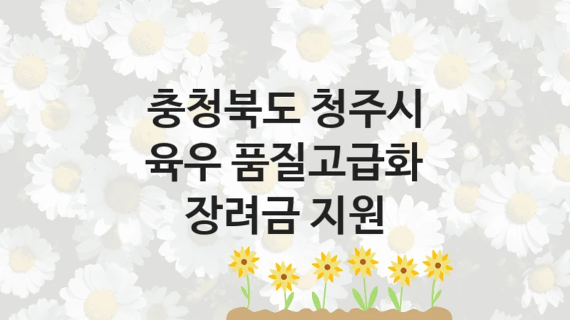 공공 복지 프로그램 “육우 품질고급화 장려금 지원” – 충청북도 청주시 자격 요건과 신청 방법
