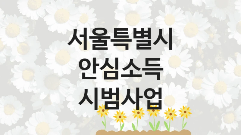 서울특별시, 안심소득 시범사업 지원 정책정리, 신청 구비 서류와 일정