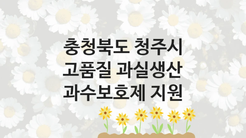 충청북도 청주시 “고품질 과실생산 과수보호제 지원” 복지 지원 정책 – 신청 절차 및 필요 서류