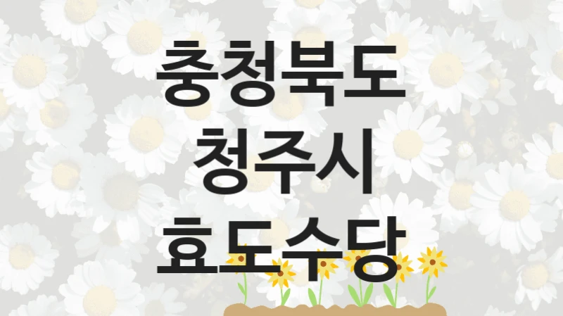 충청북도 청주시 “효도수당” 복지 지원혜택 – 자격 조건과 구비 서류