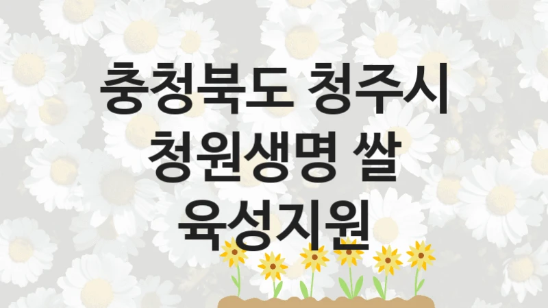 “청원생명 쌀 육성지원” 충청북도 청주시 복지지원 혜택 – 신청 방법과 구비 서류