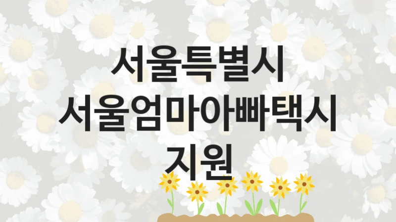 서울특별시
서울엄마아빠택시 지원